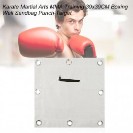 Karate Martial Arts MMA Training 39x39CM Boxing Wall Sandbag Punch Target